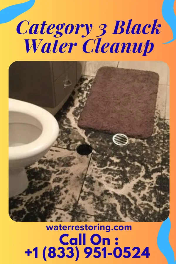 Category 3 Black Water Cleanup in Cooper, TX