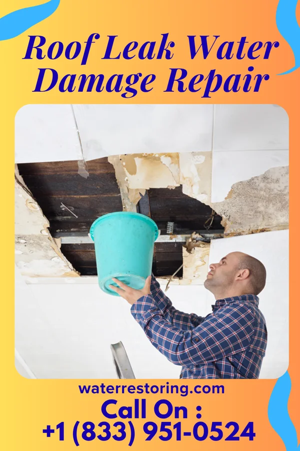 Roof Leak Water Damage Repair in Cooper, TX